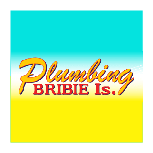 bribie tigers sponsor plumbing bribie island